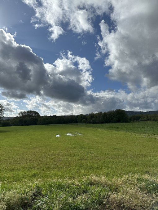 A peaceful pastoral scene with a lush green field stretching toward a distant tree line, under a dramatic sky filled with fluffy white clouds and patches of blue. There appears to be some trash or debris in the middle of the field, with no visible text, numbers, or names in the image. The serene countryside view perfectly complements a relaxed "happy sunday frens" vibe, evoking a tranquil day spent enjoying nature.