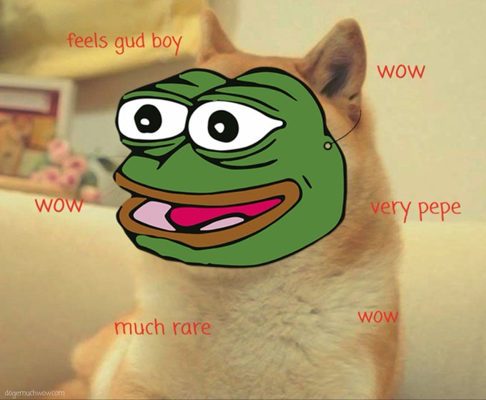 A Shiba Inu dog with a Pepe the Frog face photoshopped over it, surrounded by red text reading 'feels gud boy', 'wow', 'very pepe', and 'much rare'.