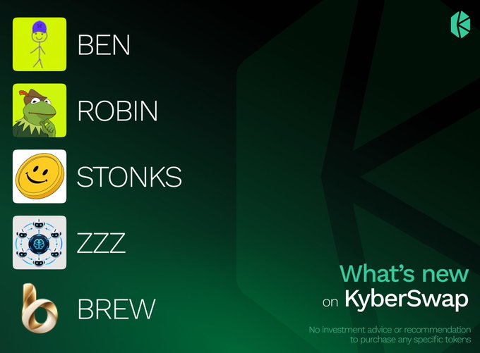 A KyberSwap promotional graphic titled 'What's new on KyberSwap' displaying five token options: BEN (stick figure), ROBIN (frog), STONKS (smiley coin), ZZZ (blue emblem), and BREW (gold swirl), with a disclaimer 'No investment advice or recommendation to purchase any specific tokens.'