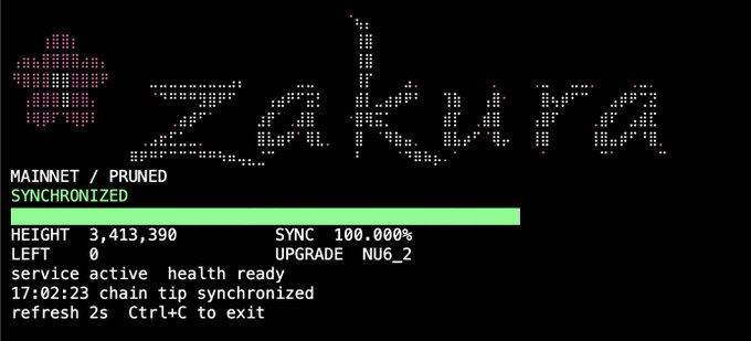 A Zcash cryptocurrency node terminal showing 'MAINNET / PRUNED SYNCHRONIZED' status with sync progress at 100.000%, height 3,413,390, and timestamp 17:02:23.