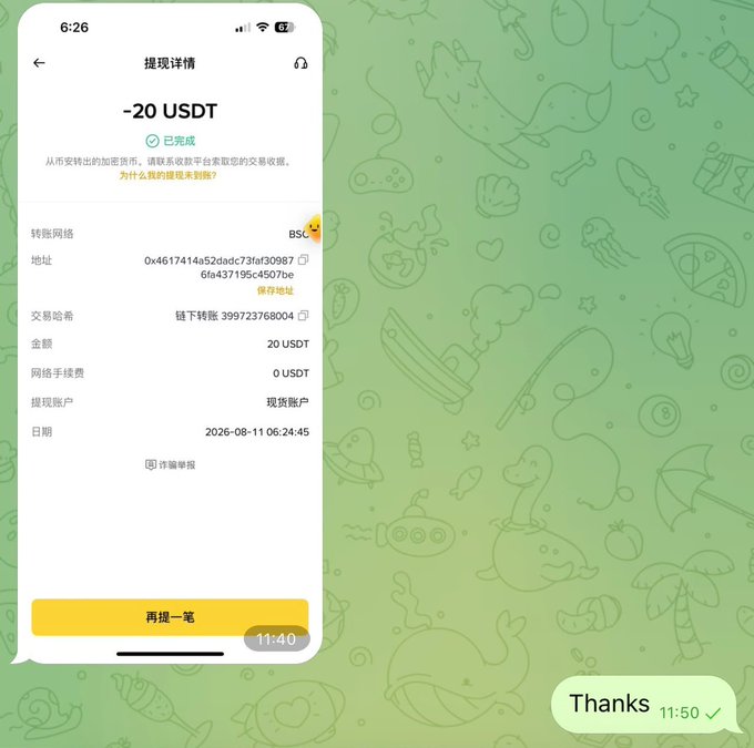 A smartphone screenshot of a cryptocurrency withdrawal confirmation showing -20 USDT completed via the BSC network, with transaction details including address, hash, and date 2026-08-11. A chat message says 'Thanks' at 11:50.