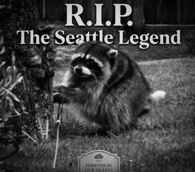 A black and white memorial tribute titled 'R.I.P. The Seattle Legend' showing a raccoon standing upright in grass, with a small tombstone graphic at the bottom reading 'FOREVER IN OUR HEARTS'.