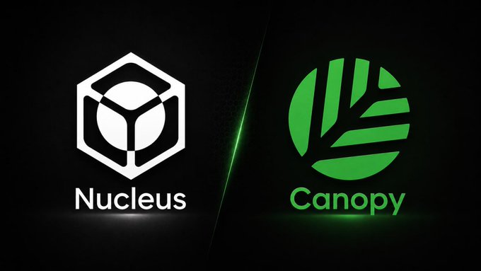 The image displays the logos of "Nucleus" (white hexagonal design on the left) and "Canopy" (green circular design on the right) against a black background, separated by a diagonal dividing line. This visual represents a partnership or connection between the two blockchain networks, aligning with the post about Canopy Network's role in redefining Web3 infrastructure for the AI era through cross-chain integration.