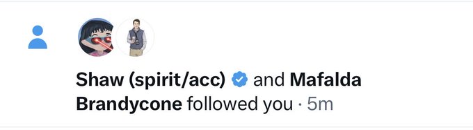 An Instagram notification showing that users Shaw (spirit/acc) and Mafalda Brandycone started following you 5 minutes ago.