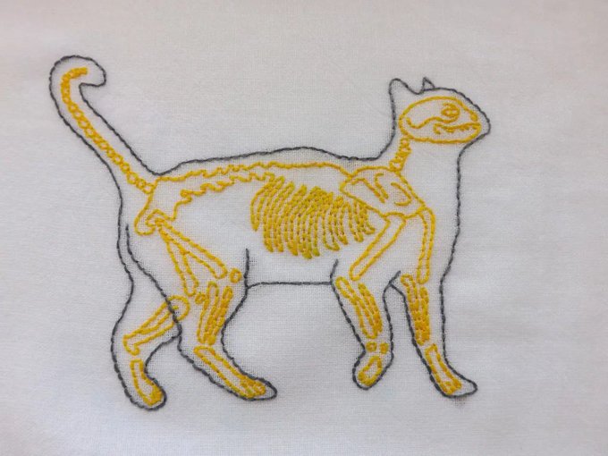 An embroidered design of a cat featuring a skeleton visible inside its body, stitched in gray outline with yellow-orange bones on white fabric.