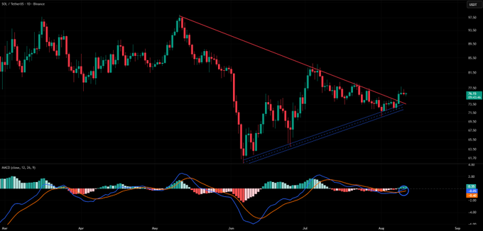A financial candlestick chart labeled "SOL / TetherUS · 1D · Binance" shows price action with a descending red trendline and rising MACD indicator below, with a blue circle highlighting a MACD crossover.