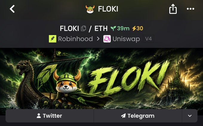 A cryptocurrency trading app screen shows the FLOKI/ETH token pair available to trade via Robinhood to Uniswap V4, featuring dramatic imagery of a viking-helmeted dog on a ship.