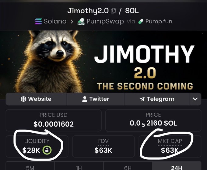 A crypto token listing page for 'Jimothy2.0' on Solana via PumpSwap/Pump.fun, showing a raccoon image with text 'JIMOTHY 2.0 THE SECOND COMING', price $0.0001602, and hand-drawn circles highlighting the Liquidity ($28K) and Mkt Cap ($63K) fields.