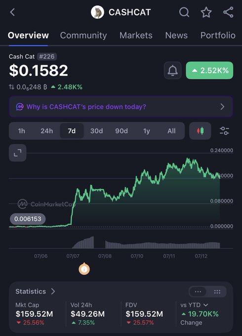 The image shows a CoinMarketCap page for the memecoin Cash Cat (CASHCAT) priced at $0.1582 with a $159.52M market cap and a 19.70% YTD increase. The post is using this screenshot to mock the crypto space, highlighting that CASHCAT—a memecoin on Robinhood's centralized chain—has a higher market cap than MultiversX ($EGLD), a fundamentally advanced blockchain, to criticize how disconnected market valuations have become from technological merit.