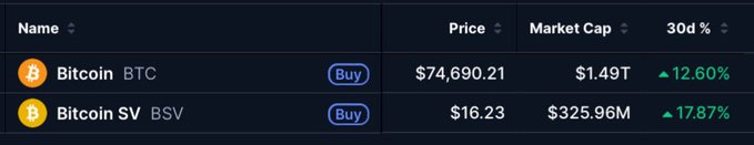 A cryptocurrency price table shows Bitcoin (BTC) at $74,690.21 with a $1.49T market cap and a 12.60% 30-day increase, alongside Bitcoin SV (BSV) at $16.23 with a $325.96M market cap and a 17.87% 30-day increase.