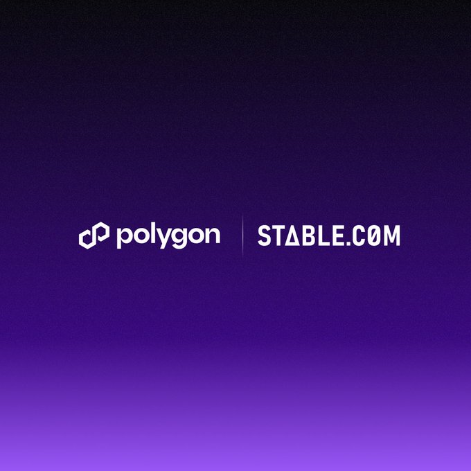 A purple gradient background displays the logos for 'polygon' and 'STABLE.COM' side by side.