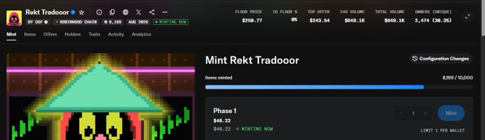A screenshot of the 'Mint Rekt Tradooor' NFT collection page showing 8,369/10,000 items minted on the Robinhood Chain with a floor price of $256.77.