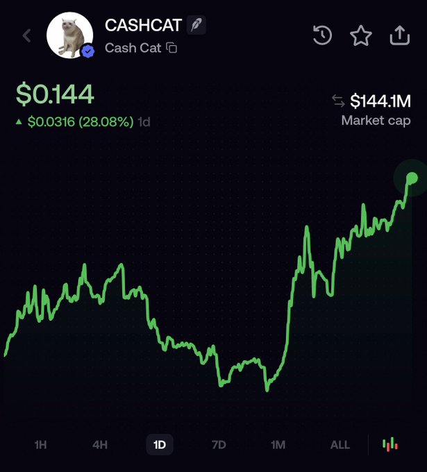 The image shows a 1-day price chart for the CASHCAT (Cash Cat) token, displaying a current price of $0.144 with a 28.08% gain ($0.0316) and a market cap of $144.1M. The chart visualizes the strong upward momentum referenced in the post, illustrating the recent price surge that has "fudders" in disbelief after the token rallied over 230% in the past week.