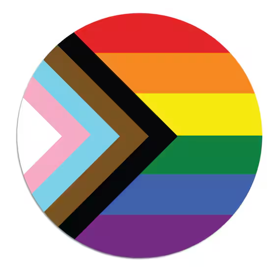 A Progress Pride Flag displayed as a circular badge/pin design, featuring the traditional rainbow stripes with added chevron in pink, light blue, brown, and black.