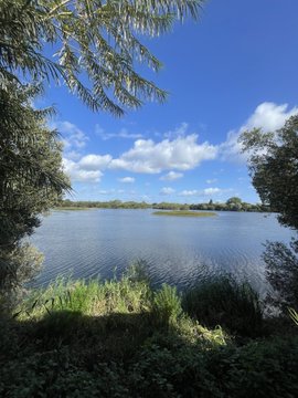 A serene lake view framed by green trees and foliage under a blue sky with scattered white clouds.