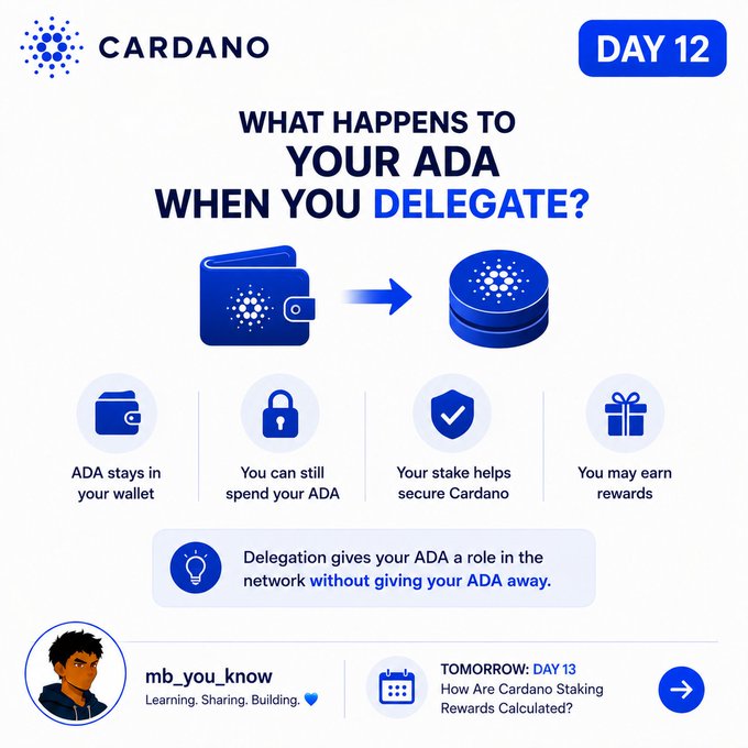 A Cardano 'Day 12' educational infographic explaining 'What Happens to Your ADA When You Delegate,' showing that ADA stays in your wallet and you can earn rewards.