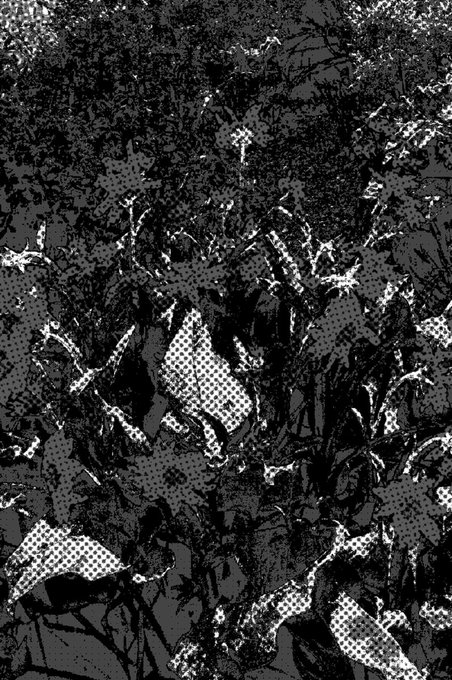 A high-contrast, black and white halftone pattern resembles abstract branches or a dense thicket.