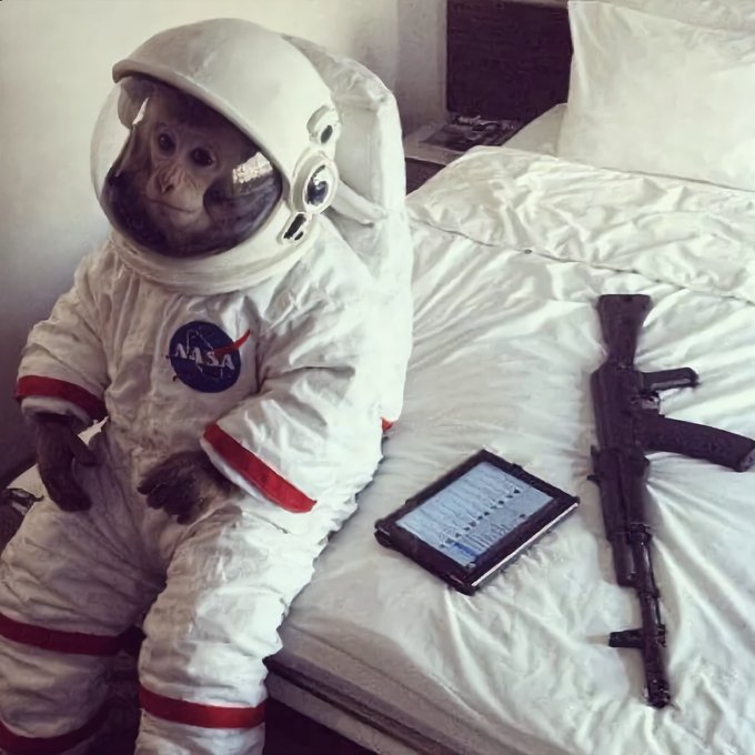 A monkey wearing a NASA spacesuit sits on a white bed next to a tablet and what appears to be a rifle.