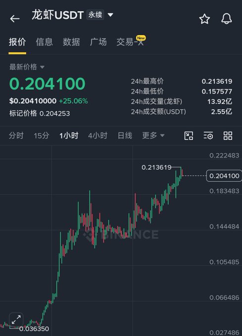A cryptocurrency trading chart for '龙虾/USDT' (Lobster/USDT) showing a price of $0.204100, up 25.06%, with a 24-hour high of 0.213619 and low of 0.157577 on Binance.
