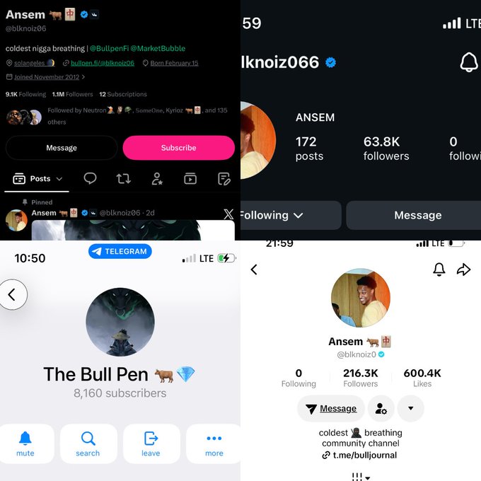 The image displays a 2x2 grid of screenshots from various social media profiles associated with @blknoiz06 (Ansem), showing their X accounts with 9.1K and 63.8K followers, a Telegram channel called "The Bull Pen" with 8,160 subscribers, and a TikTok account with 216.3K followers. The collage serves as visual proof of the user's cross-platform social media presence and following of the "coldest breathing community" associated with the $ANSEM ticker.