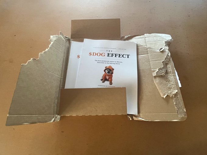 A torn cardboard envelope reveals a booklet titled "THE $DOG EFFECT: The first memecoin native to Bitcoin, born free in the Solving Block," featuring a cartoon dog in an orange spacesuit—a physical welcome package for the $DOG memecoin launch, sent just before takeoff.