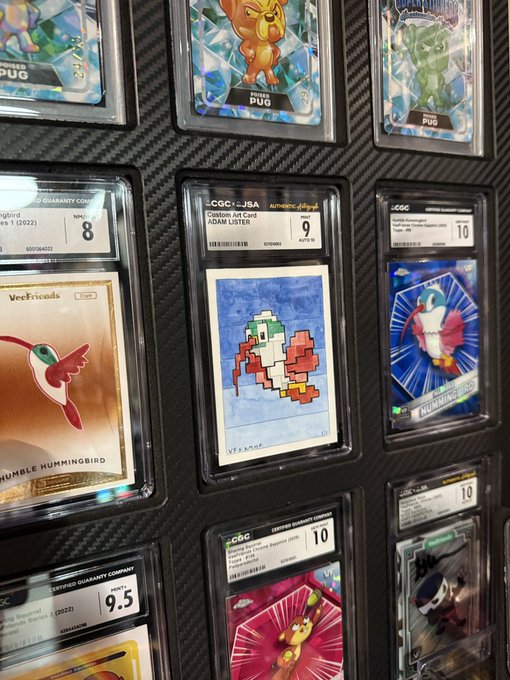 Photograph of graded Pokémon cards in CGC slabs displayed on a black carbon-fiber surface, including cards titled 'Pug' with grades 9.5 and 10, 'Adam Lister' Optichrome Art Card graded 9, and a 'Hummingbird' card.