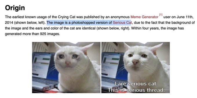 An informational page titled 'Origin' about the Crying Cat meme, explaining it was created on June 11th, 2014 by a Meme Generator user, showing side-by-side comparison of the Crying Cat and the original Serious Cat meme.