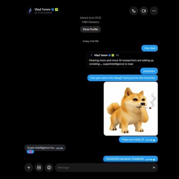 A direct message exchange on X shows Vlad Tenev replying with a smug smoking Doge meme in response to a query about naming AI researchers "superintelligence inu," echoing the broader joke play involving the $SI token.