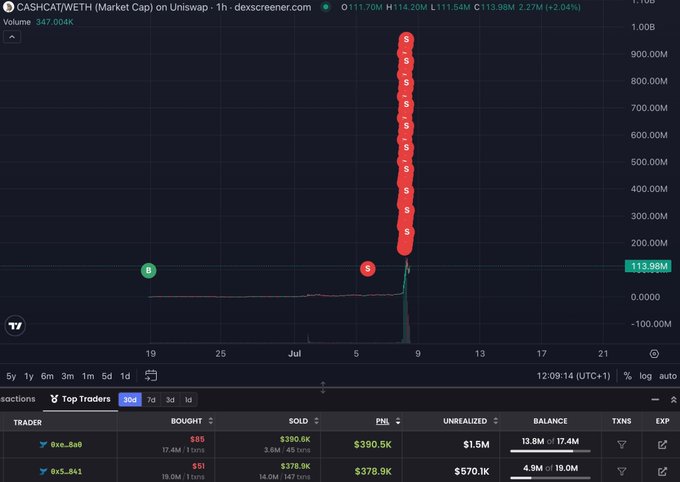The image shows a Dexscreener chart for the $CASHCAT/WETH trading pair, with a market cap of $113.98M (up 2.04%) and volume of 347.04K, displaying a dramatic price spike around July 9. The Top Traders panel below highlights two wallets that turned small initial buys—$85 and $51—into $390.5K and $378.9K in realized profits respectively, with $1.5M and $562K in unrealized gains, illustrating the "chad" memecoin gains described in the post.