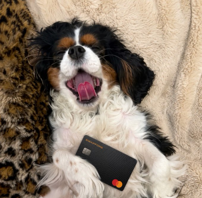 A Cavalier King Charles Spaniel yawns adorably while clutching a black Swapfone Mastercard, perfectly illustrating the post's "Mine. Earn. Spend." message—where digital mining rewards can be used for real-world purchases.
