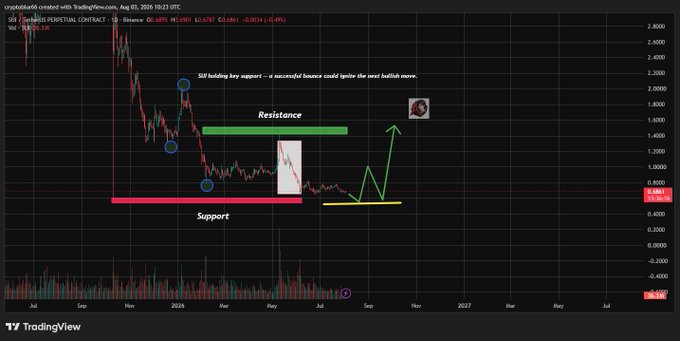 A TradingView chart of the SUI Perpetual Contract on Binance shows the price consolidating near a major support zone around $0.60–$0.70 (highlighted in red) below a green resistance band, with annotations indicating a potential bullish breakout targeting $1.40–$1.60 if buyers defend the support level.