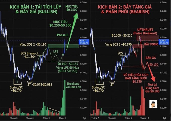 A Vietnamese-language financial chart comparing two Wyckoff Method scenarios: 'KỊCH BẢN 1: TÍCH LŨY & ĐẨY GIÁ (BULLISH)' showing accumulation and markup to a target of $0.2500, and 'KỊCH BẢN 2: BẪY TĂNG GIÁ & PHÂN PHỐI (BEARISH)' showing an upthrust/false breakout followed by distribution and a price drop test.