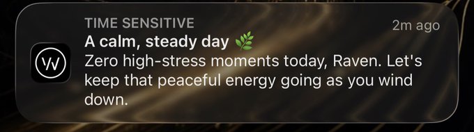 A dark-themed mobile notification with a 'W' icon titled 'TIME SENSITIVE' that reads, 'A calm, steady day 🌿 Zero high-stress moments today, Raven. Let's keep that peaceful energy going as you wind down.'