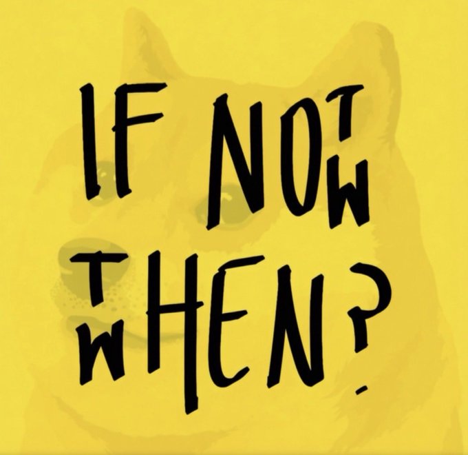 A yellow graphic with a faded image of a dog (Shiba Inu) features bold black text reading "IF NOT NOW WHEN?"