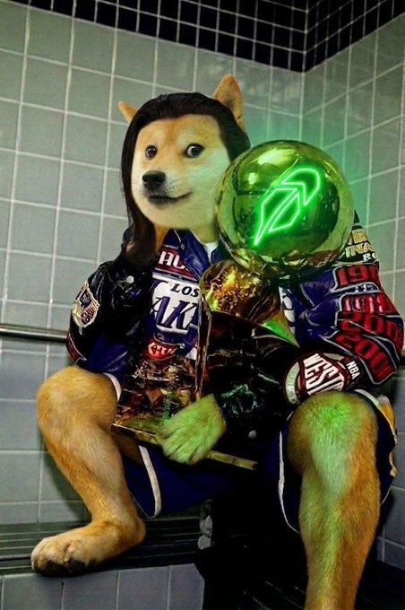 The image is the famous "doge in a robe holding a championship trophy" meme, now edited to clutch a glowing green orb instead, and the robe is covered in patches reading "LOSER," "RH," and "2000"—a visual punchline riffing on the caption by mocking the idea that owning Robinhood's $RH stock (which traded around the $2,000 level at the time) makes you a "champion."