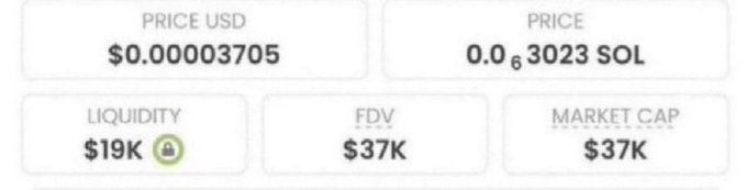 A token's market statistics showing a $0.00003705 USD price, 0.0003023 SOL price, $19K liquidity, $37K FDV, and $37K market cap—supporting the post's claim of a low-cap meme coin with 100-5000x potential at a 37K market cap.