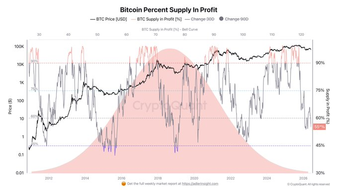 The image shows a graph with Bitcoin's supply, represented by lines of varying colors and sizes. The graph displays a change in cryptocurrency prices from 2005 to 2013. A large red line represents the price drop between these two years, while smaller red lines show fluctuations at other points during that period. This graph provides information about the rise and fall of Bitcoin's supply over time as well as its overall performance in relation to market trends.