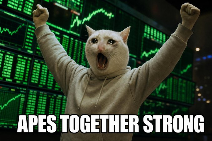 A white cat with an open mouth edited onto a person in a gray hoodie with raised arms in front of green stock market charts, captioned 'APES TOGETHER STRONG'.