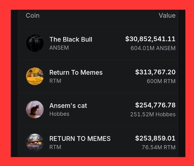 The image displays a cryptocurrency portfolio showing holdings including "The Black Bull" (ANSEM) valued at $30,852,541.11 with 604.01M ANSEM tokens, "Return To Memes" (RTM) at $313,767.20, "Ansem's cat" (Hobbes) at $254,776.78, and another "RETURN TO MEMES" (RTM) entry at $253,859.01. This portfolio screenshot illustrates the post's claim about $ANSEM's value, showing that the 60% of supply sent to Ansem is now worth over $30 million, supporting the narrative of the token's massive appreciation since launching on pump.fun 12 days ago.
