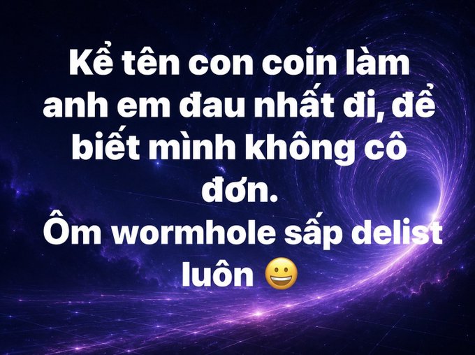 Vietnamese text on a purple cosmic background reads 'Kể tên con coin làm anh em đau nhất đi, để biết mình không cô đơn. Ôm wormhole sắp delist luôn 😉' (Name the coin that hurt you the most, so you know you're not alone. Hugging Wormhole that's about to delist).