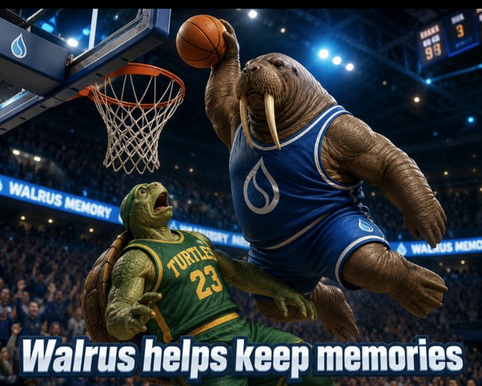 A basketball scene shows a walrus in blue dunking over a turtle in green #23, with text 'Walrus helps keep memories' and arena signage 'WALRUS MEMORY'.