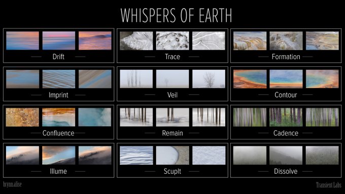A digital art presentation titled "WHISPERS OF EARTH" by brynalise for Transient Labs, displaying twelve image collections labeled Drift, Trace, Formation, Imprint, Veil, Contour, Confluence, Remain, Cadence, Illume, Sculpt, and Dissolve.