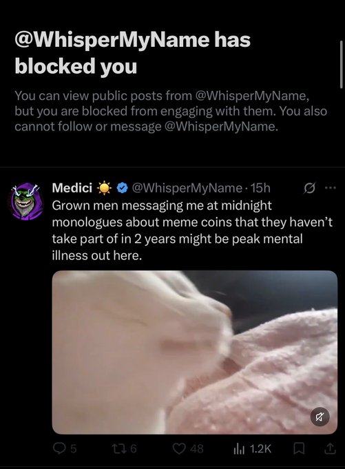 A screenshot shows that '@WhisperMyName' has blocked the user, displaying a tweet from 'Medici' @WhisperMyName criticizing grown men messaging him about meme coins, accompanied by an ambiguous blurry image.