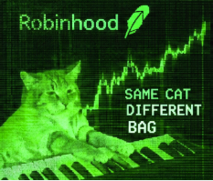 A green-tinted meme featuring a cat playing a keyboard with the text "Robirhood" and "SAME CAT DIFFERENT BAG" displayed over a stock chart.