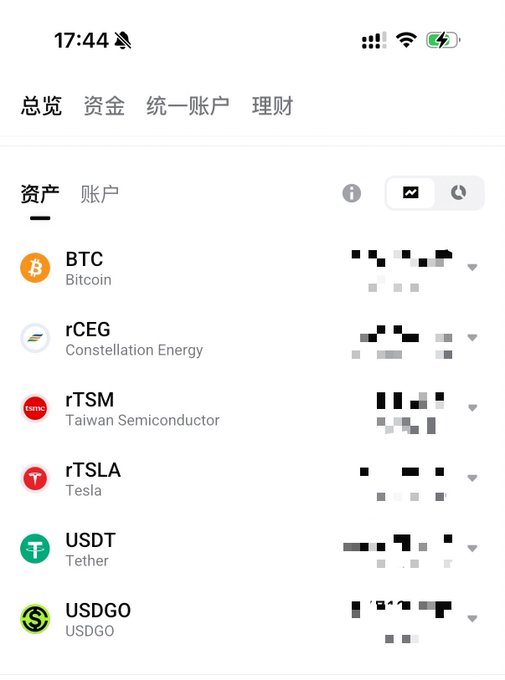 A mobile app screen showing an assets portfolio listing BTC (Bitcoin), rCEG (Constellation Energy), rTSM (Taiwan Semiconductor), rTSLA (Tesla), USDT (Tether), and USDGO with pixelated balance values.