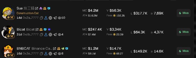 A list of cryptocurrency tokens with cat-themed branding: Construction Cat (MC $4.2M), Bicat (MC $247.4K), and BNBCAT Binance Cat (MC $1.2M), showing their market caps, volumes, and liquidity stats.