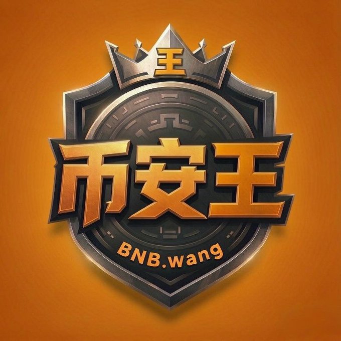 A golden shield-shaped badge with a crown on top displays the Chinese characters "币安王" (Binance King) and the text "BNB.wang" on an orange background, serving as a bold emblem in response to the user's question comparing their profile picture's appearance to this image.