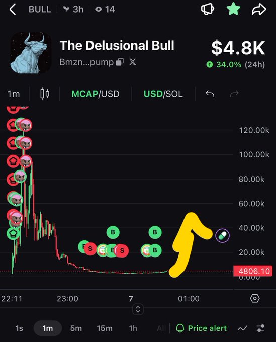 Trading chart of 'The Delusional Bull' (Bmzn...pump on Solana) showing MCAP around $4.8K, down 34% in 24h, with an upward yellow arrow drawn near the price action.