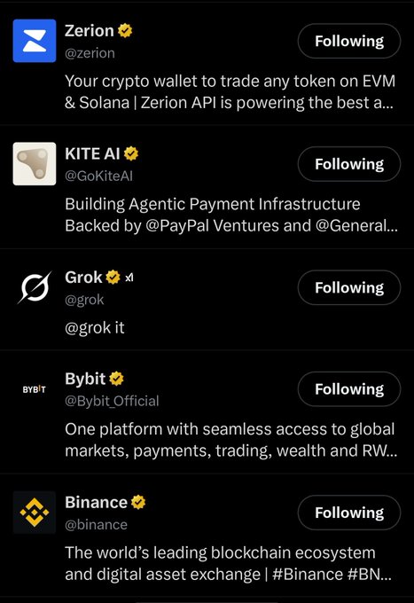 A list of followed crypto accounts on social media, including Zerion, KITE AI, Grok (@grok), Bybit, and Binance with their descriptions.