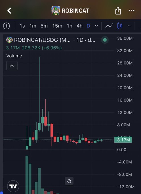 A daily candlestick chart of ROBINCAT/USDG on TradingView shows the token currently priced at 3.17M, up 6.96%, with notable volatility including a sharp spike to ~28M followed by a correction to a stable consolidation range—visually reinforcing the post's claim of a "correction wave" while the token remains structurally strong amid ongoing whale accumulation.